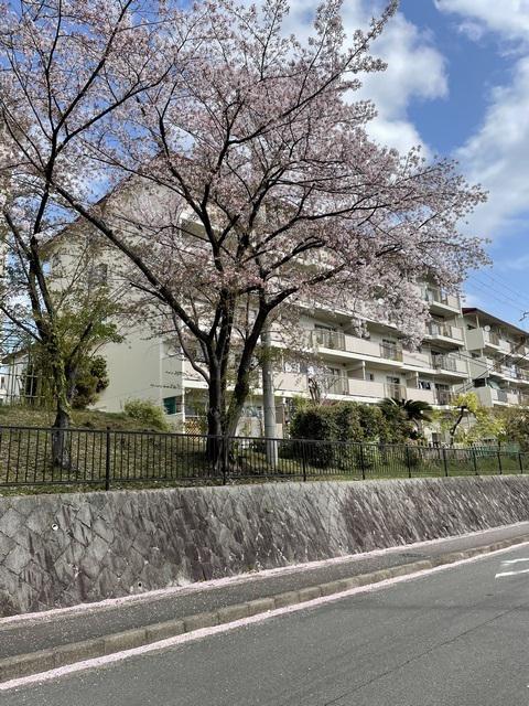 境谷西第2団地第25号棟