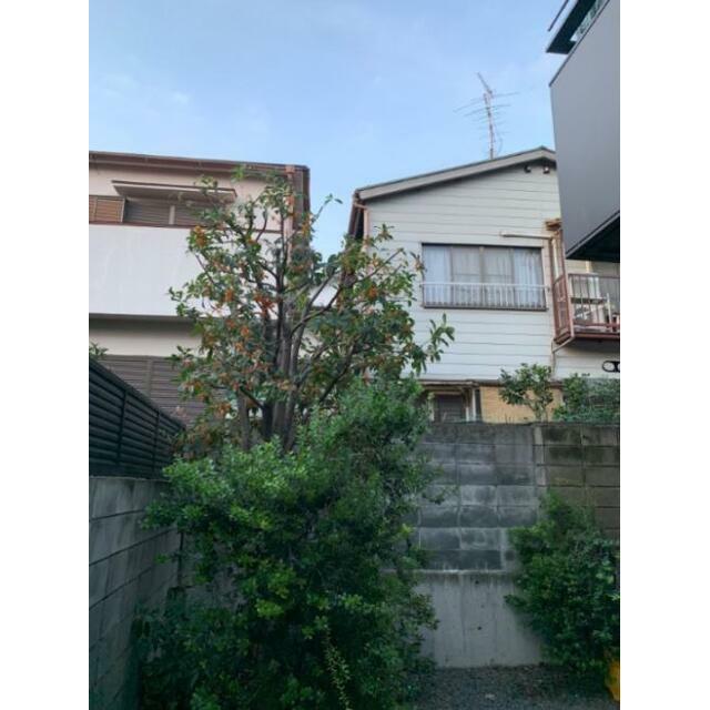 野瀬の家