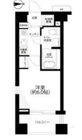 エルエーラルス海岸(1K/3階)の間取り写真