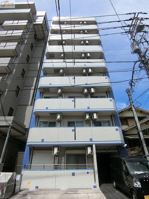 PAULOENIA VALLEY TAKE2ポートサイド