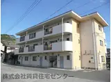 マンションデューク