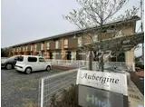 AUBERGINE