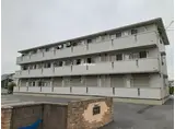 メゾンシュクレ