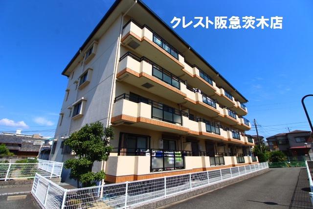 シャロームD