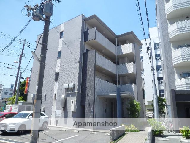 サザングレイス