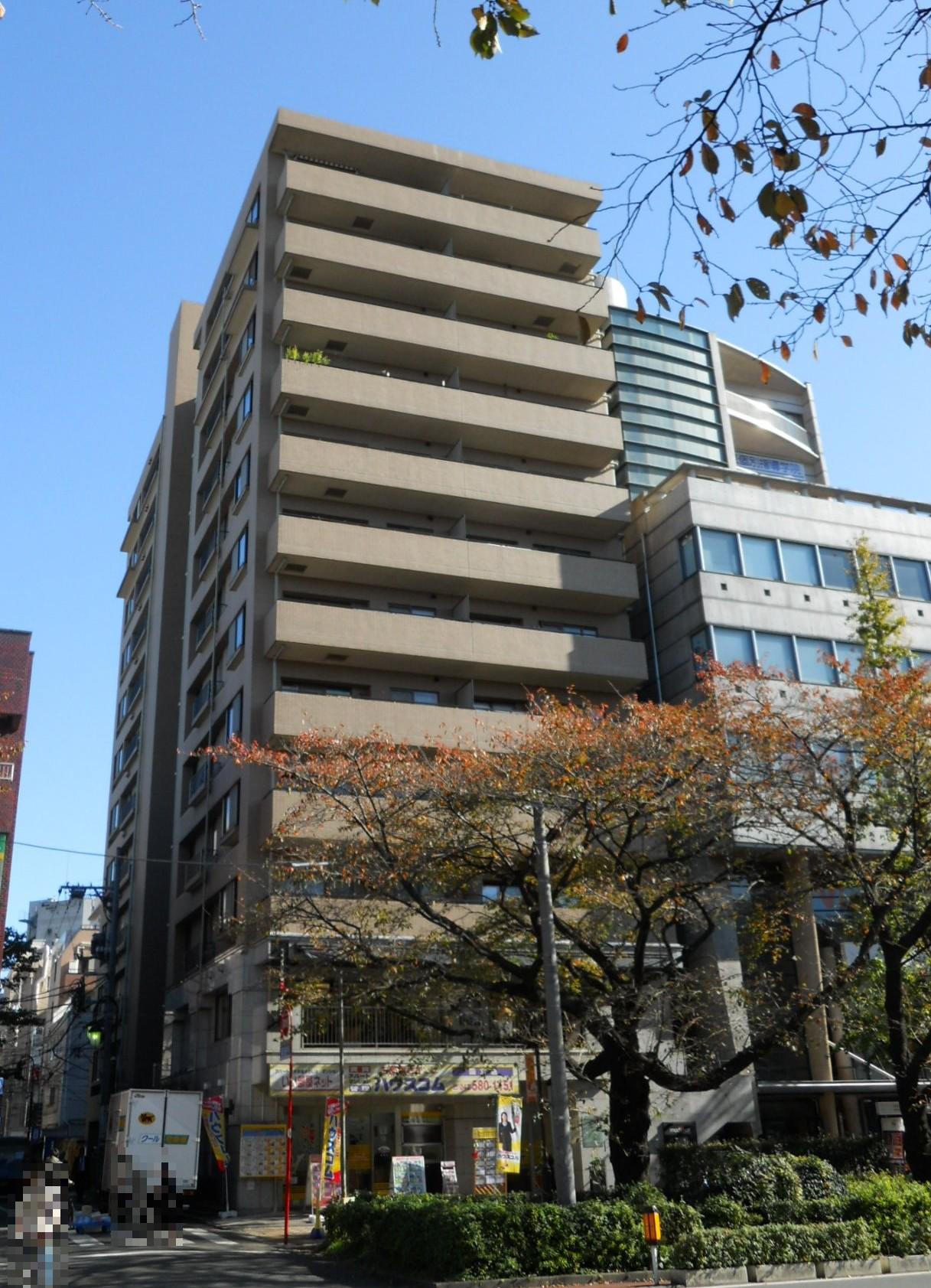 NICE URBAN 国立大学通