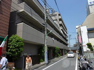 アムール森野