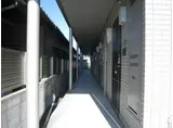 ルガルボニート