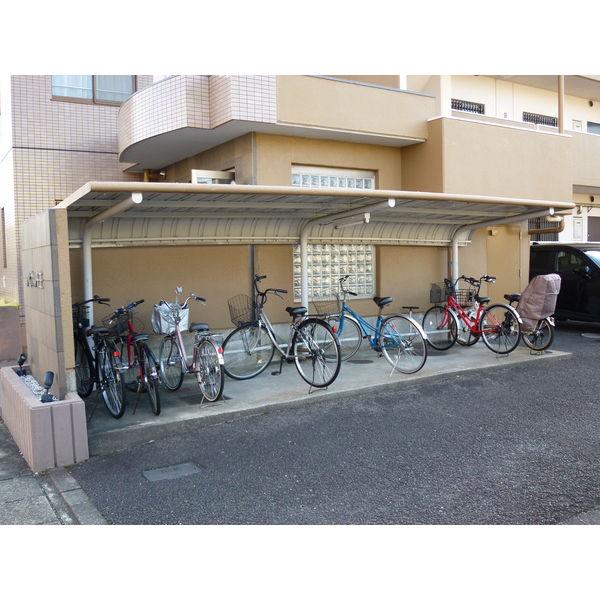 アピカル千王