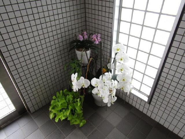 BLANCHEUR