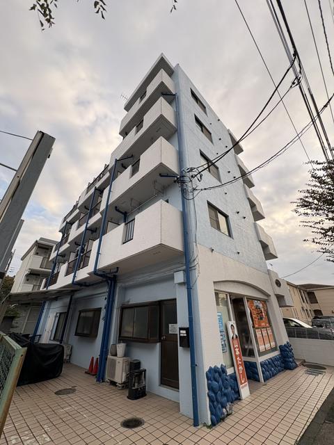 ホワイトウィング越野