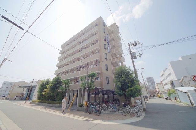 リップル ルネ放出