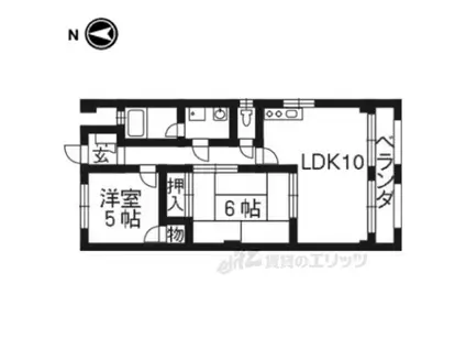 安井マンション(2LDK/1階)の間取り写真