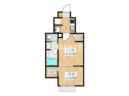 LAZO SALTO KOIWA(1LDK/1階)の間取り写真