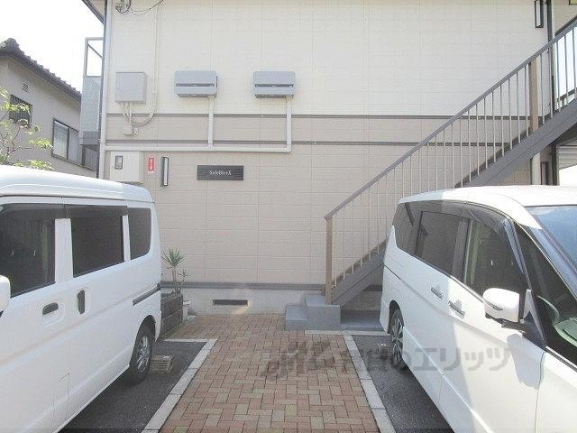 ソレビレックス