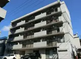 バーニーズル・ポール