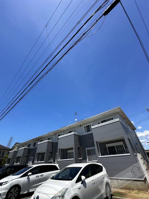 プチ シャ