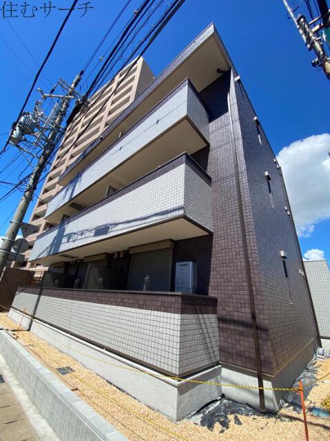 YOUR MAISON CAMELLIA