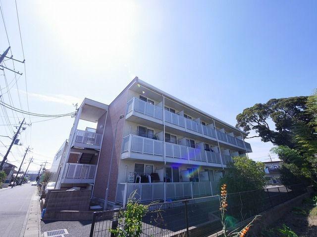 レオパレスミュートス テセラ