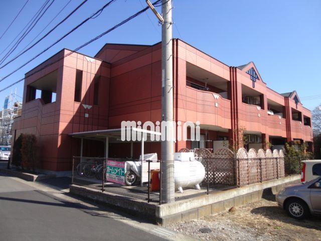 フォーチュン