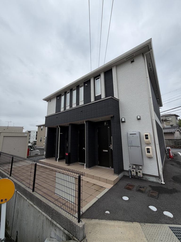 ハイバード