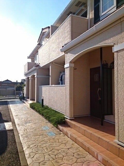 シーライト