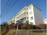 南長津田団地17号棟