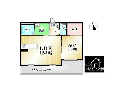 シャーメゾンラフィーネII番館(1LDK/1階)の間取り写真