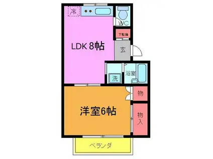 コットンハイツ(1LDK/1階)の間取り写真