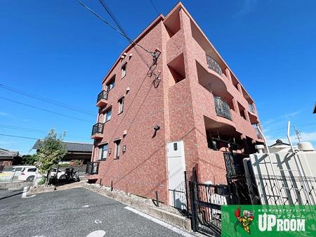 DYNASTY古知野
