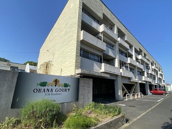 OHANA COURT-1(3DK/4階)
