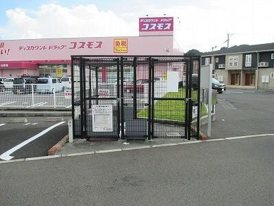 アンジュB