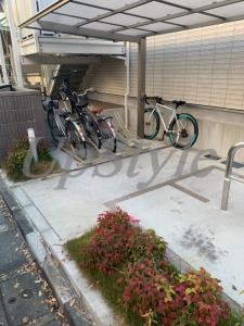 リブリファインII