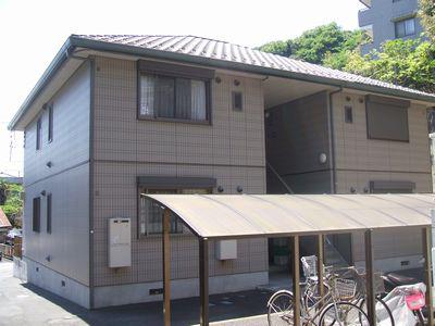 コートカトレア