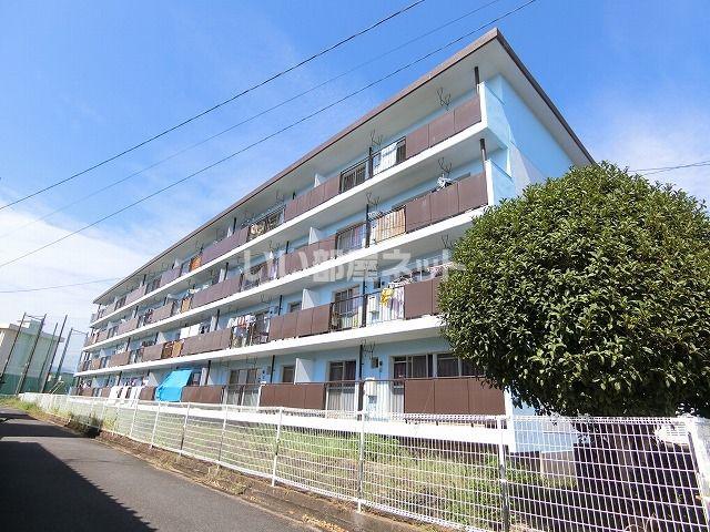 MAISON CIERO