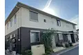 カンパニュラ