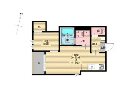 REGALEST熊本中央(1LDK/1階)の間取り写真