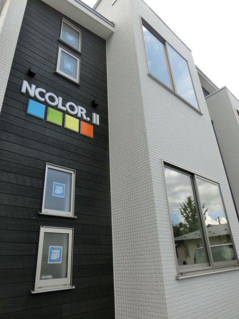 NCOLOR.II