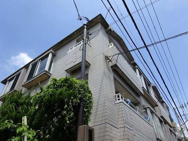 エバーグレース543