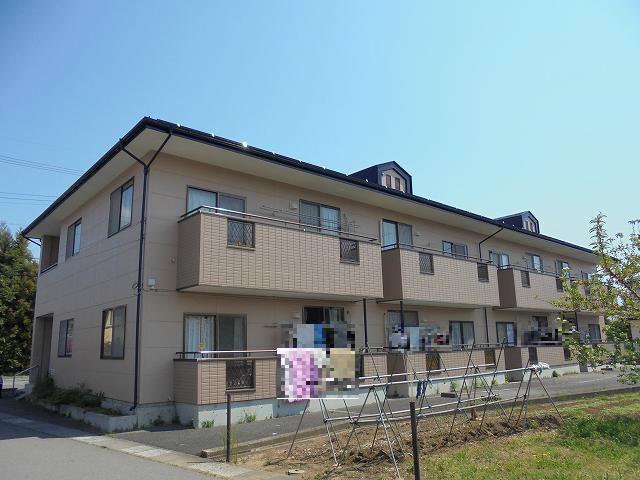 サンフラワーA