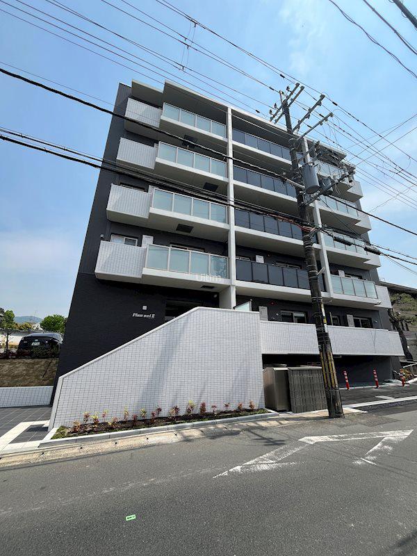 PLUM OWL II