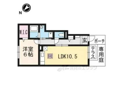 ウィニング(1LDK/1階)の間取り写真