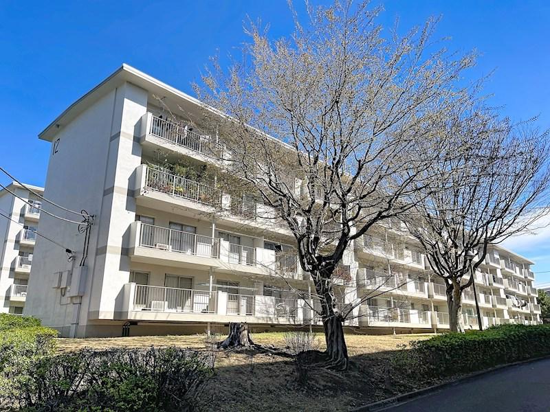 青葉台団地12号棟