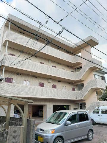 ライトベア