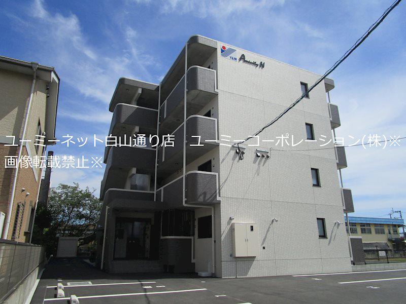 AMENITY N
