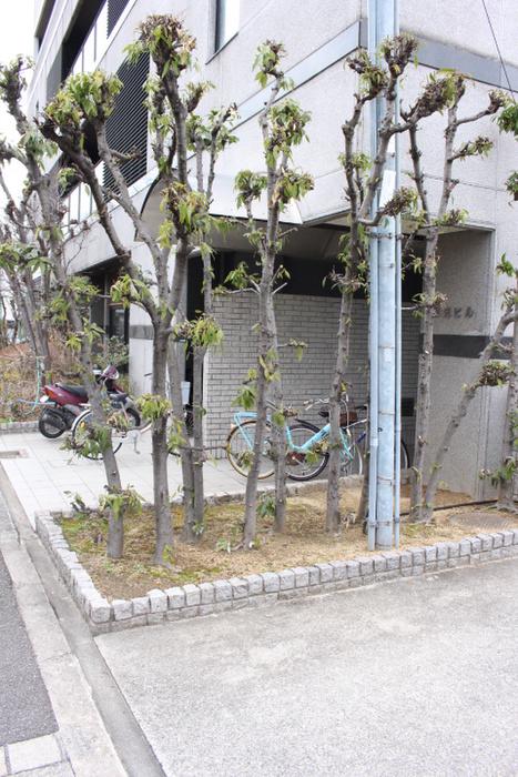 栄光マンション