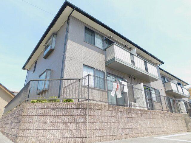 ウィルモア東洋台