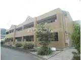 パインハート