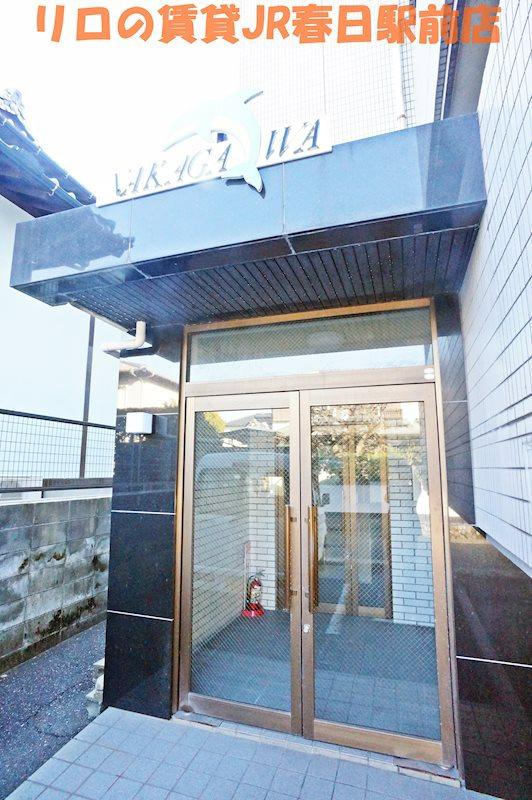 ドルフィン那珂川