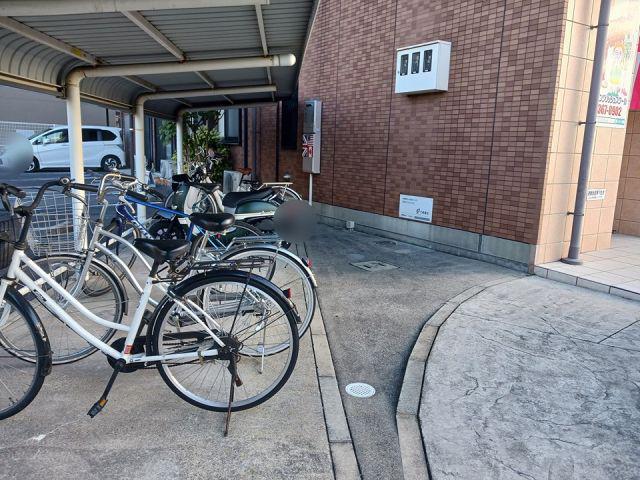 トリニティーグレース